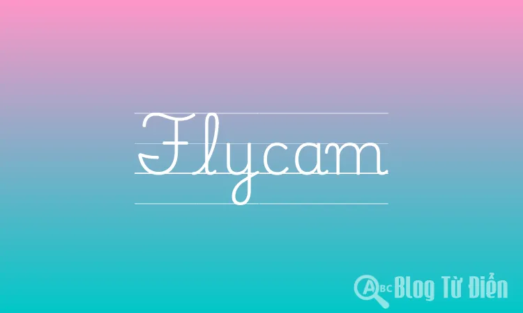 Flycam