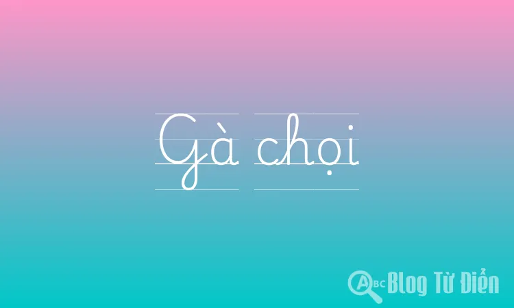 Gà chọi