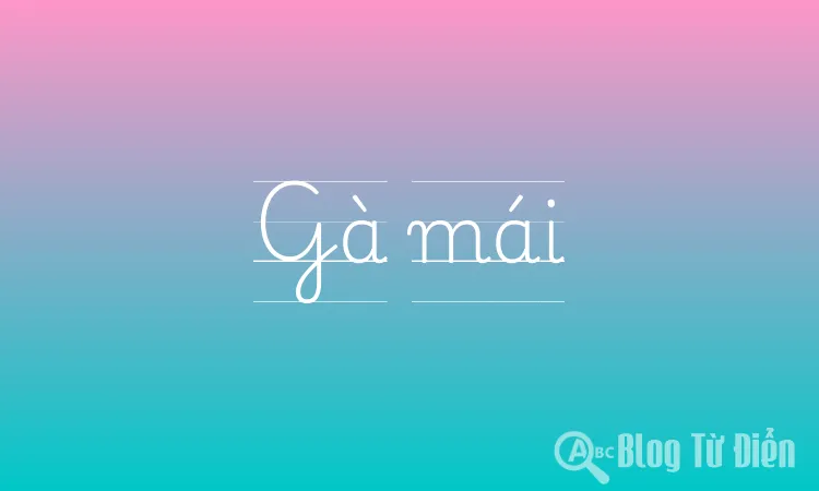 Gà mái