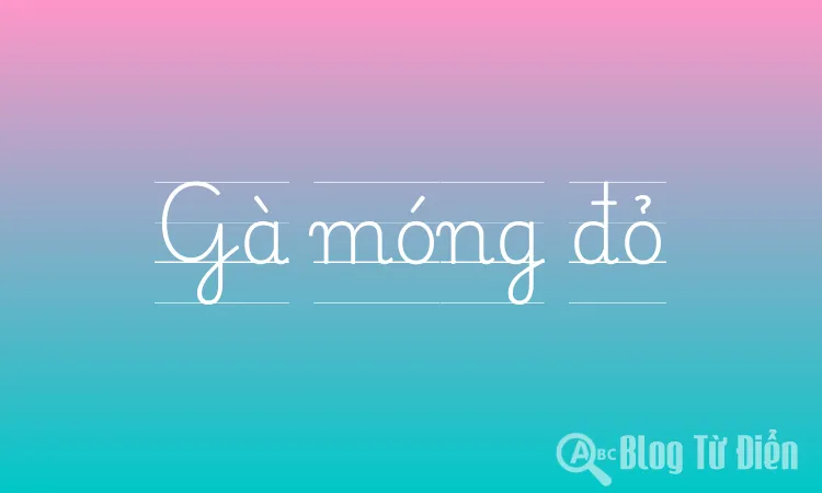 Gà móng đỏ