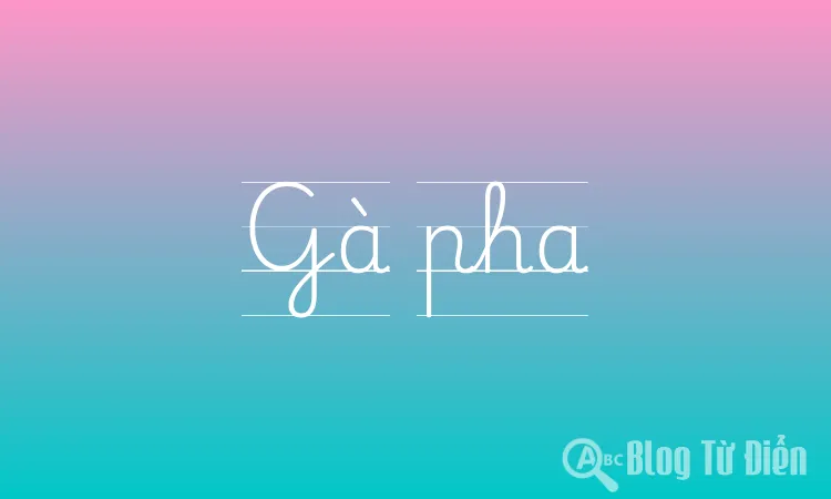 Gà pha