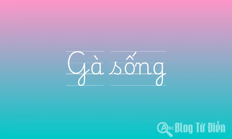 Gà sống