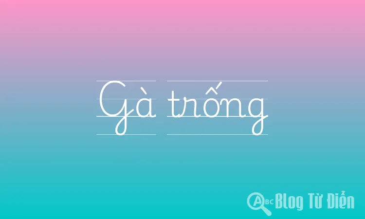 Gà trống