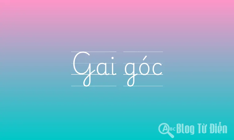 Gai góc