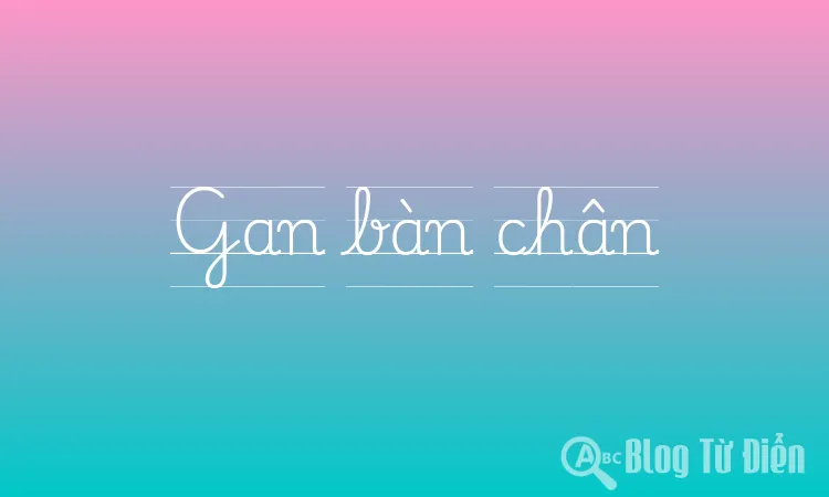 Gan bàn chân