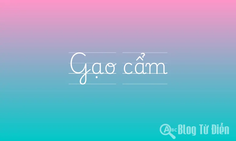 Gạo cẩm