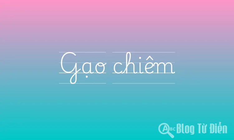 Gạo chiêm