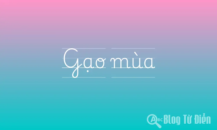 Gạo mùa
