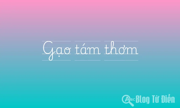 Gạo tám thơm