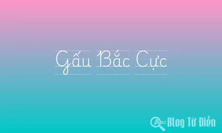 Gấu Bắc Cực