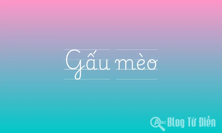 Gấu mèo