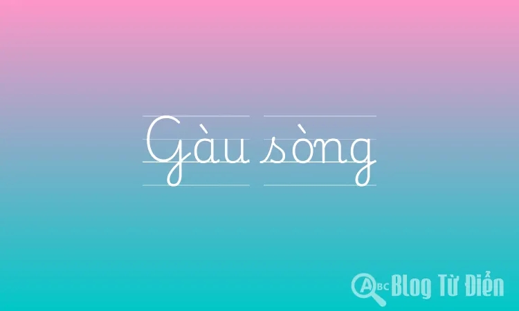 Gàu sòng