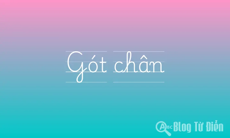 Gót chân