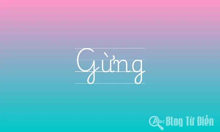Gừng