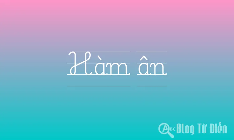 Hàm ân