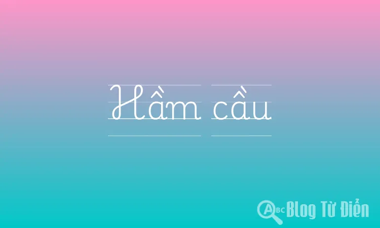 Hầm cầu