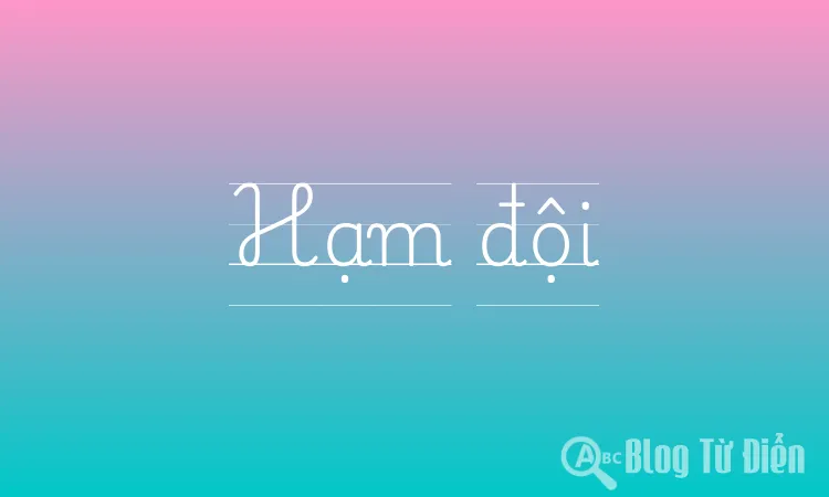 Hạm đội
