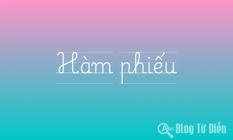 Hàm phiếu