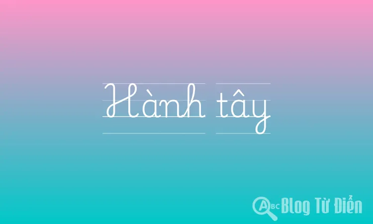 Hành tây