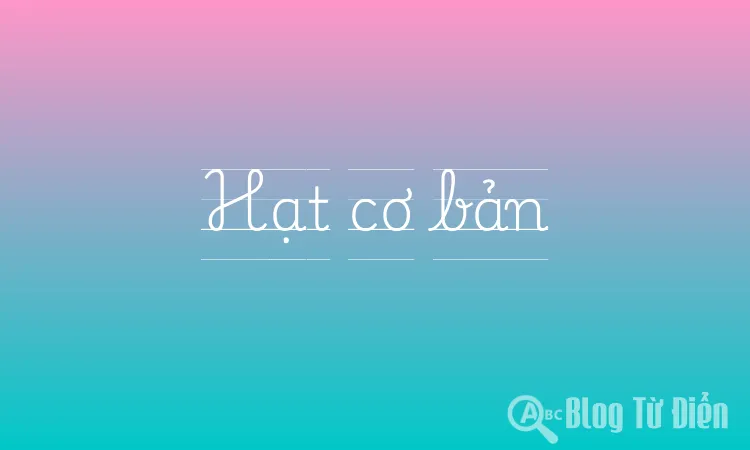 Hạt cơ bản