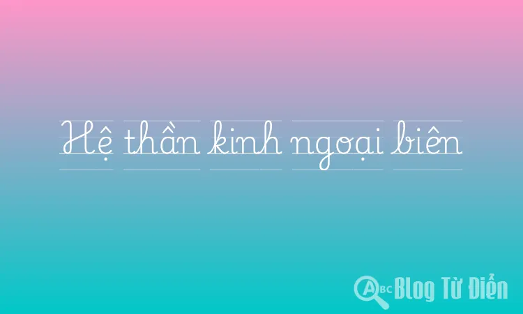 Hệ thần kinh ngoại biên