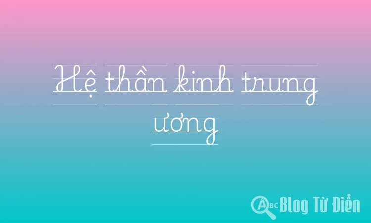 Hệ thần kinh trung ương
