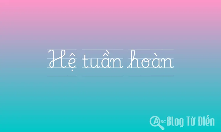 Hệ tuần hoàn