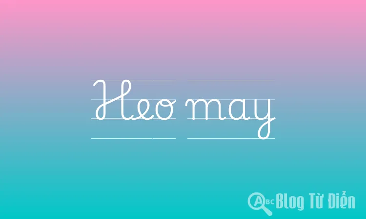 Heo may