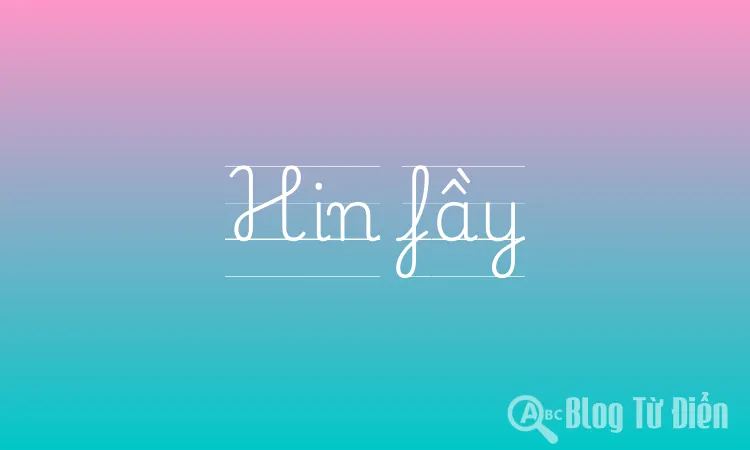 Hin fầy