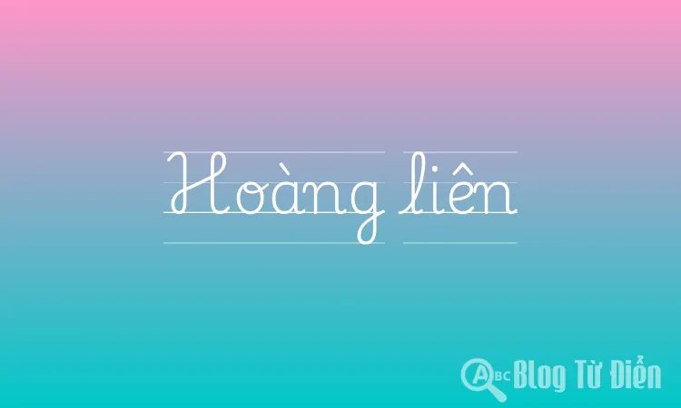 Hoàng liên