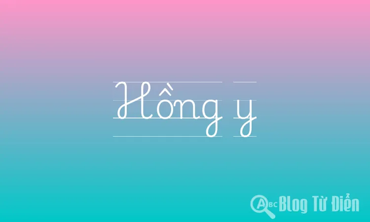 Hồng y