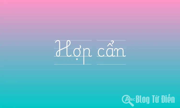 Hợp cẩn