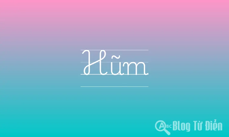 Hũm