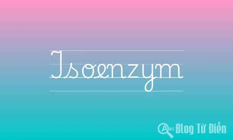 Isoenzym
