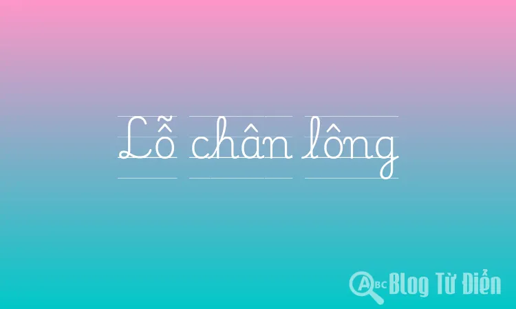 Lỗ chân lông