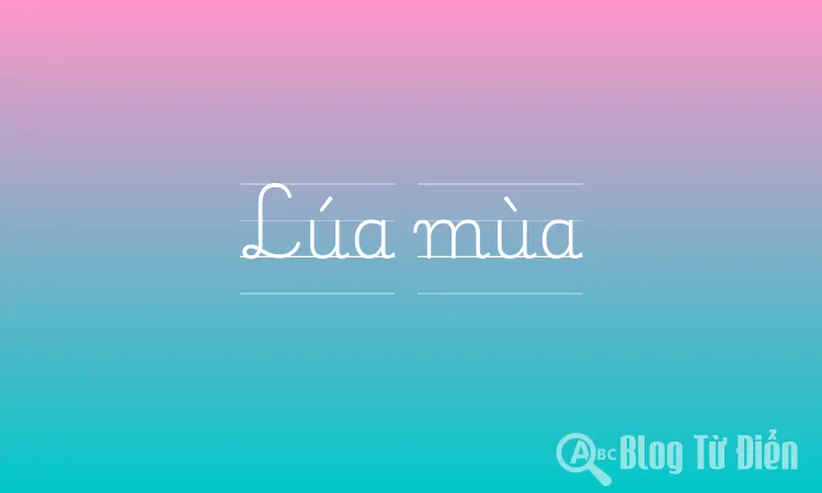 Lúa mùa