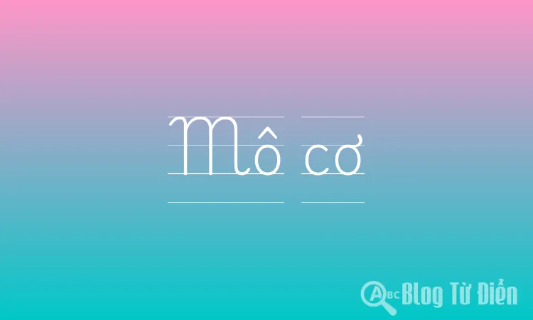 Mô cơ