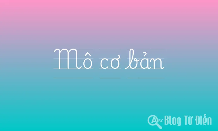 Mô cơ bản
