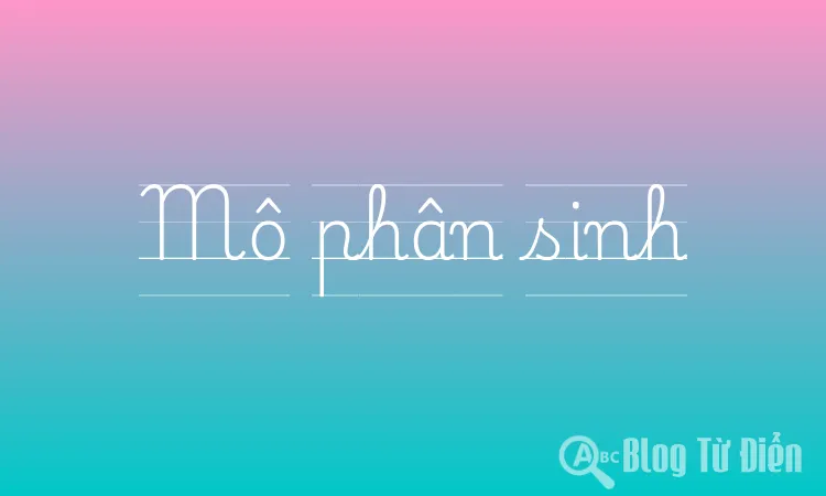 Mô phân sinh