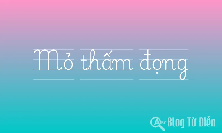 Mỏ thấm đọng