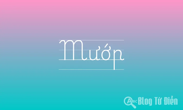 Mướp