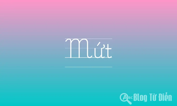Mứt