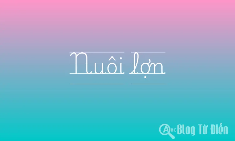 Nuôi lợn