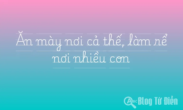 Ăn mày nơi cả thế, làm rể nơi nhiều con