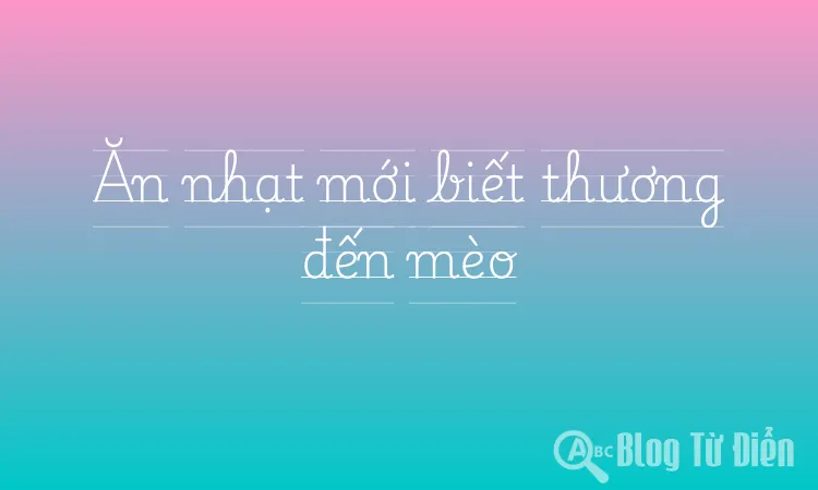 Ăn nhạt mới biết thương đến mèo