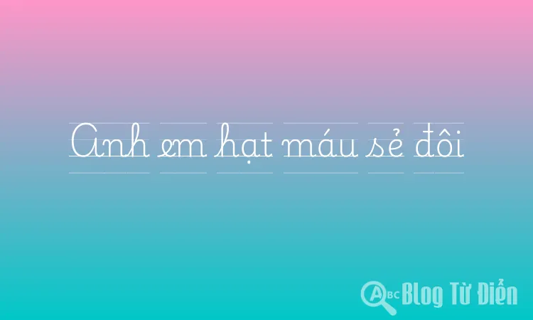 Anh em hạt máu sẻ đôi