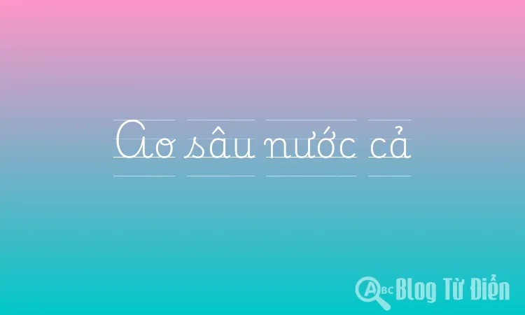 Ao sâu nước cả