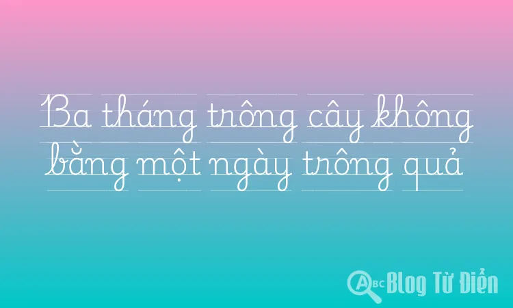 Ba tháng trông cây không bằng một ngày trông quả