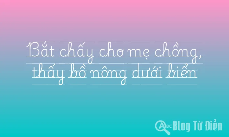 Bắt chấy cho mẹ chồng, thấy bồ nông dưới biển