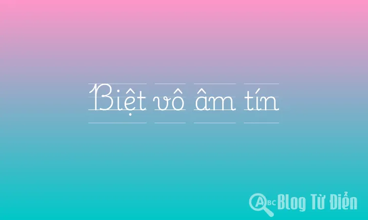 Biệt vô âm tín